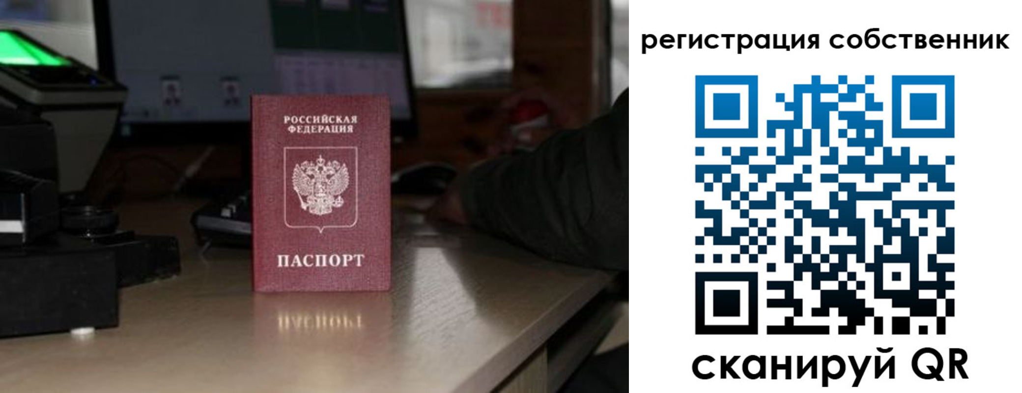 прописка поиск в Березниках
